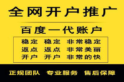 SEM主管实战：案例分析与优化策略